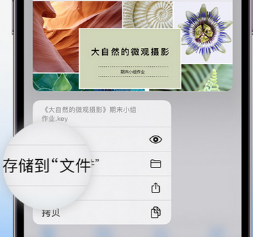 武侯apple维修中心分享iPhone文件应用中存储和找到下载文件