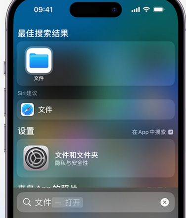 武侯apple维修中心分享iPhone文件应用中存储和找到下载文件 