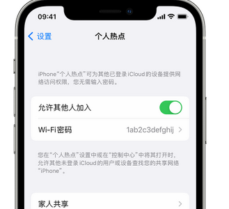 武侯apple服务站点分享iPhone上个人热点丢失了怎么办 