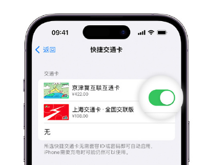 武侯apple维修点分享iPhone上更换Apple Pay快捷交通卡手绘卡面 