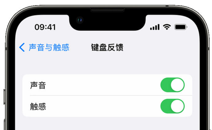 武侯苹果手机维修分享iPhone 14触感键盘使用方法 