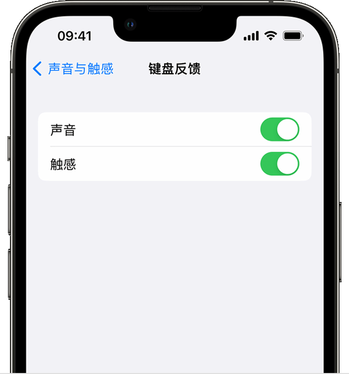 武侯苹果14维修店分享如何在 iPhone 14 机型中使用触感键盘 