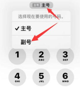 武侯苹果14维修店分享iPhone 14 Pro Max使用副卡打电话的方法 