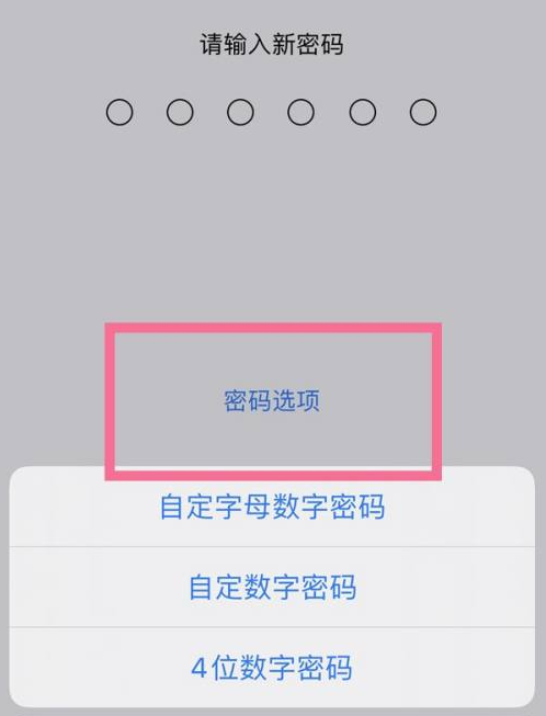 武侯苹果14维修分享iPhone 14plus设置密码的方法 