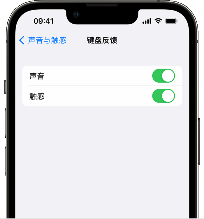 武侯苹果14维修分享iPhone 14 系列机型如何开启键盘声音或触感反馈 