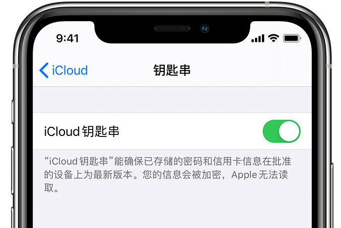 武侯苹果手机维修分享在 iPhone 上开启 iCloud 钥匙串之后会储存哪些信息 