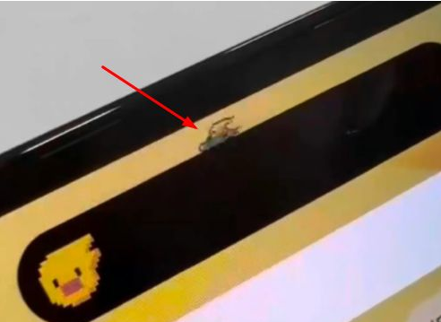 武侯苹果14维修分享iPhone 14 Pro Max灵动岛怎么养宠物 