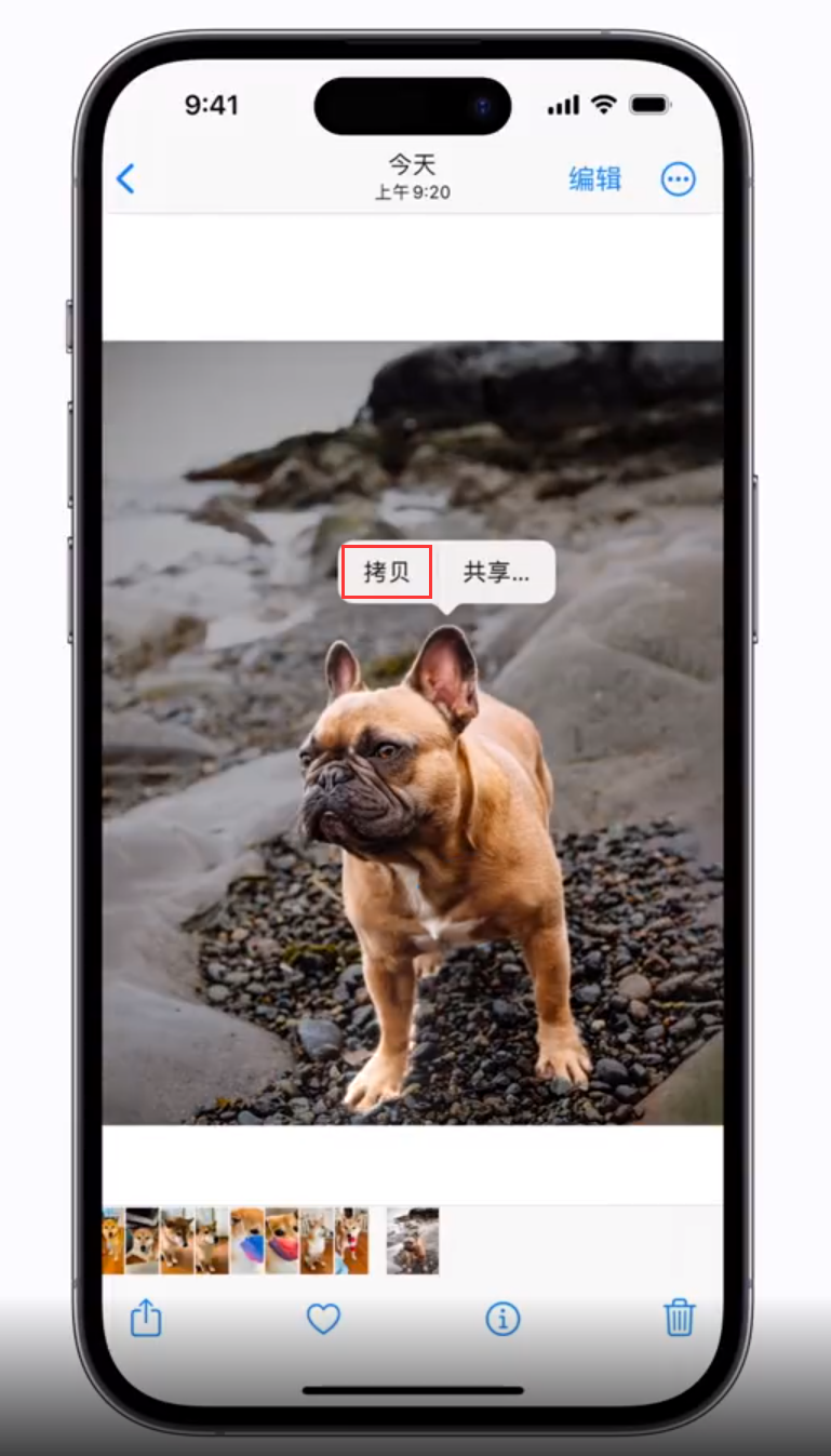 武侯苹果手机维修分享 iOS 16 自带一键抠图功能 