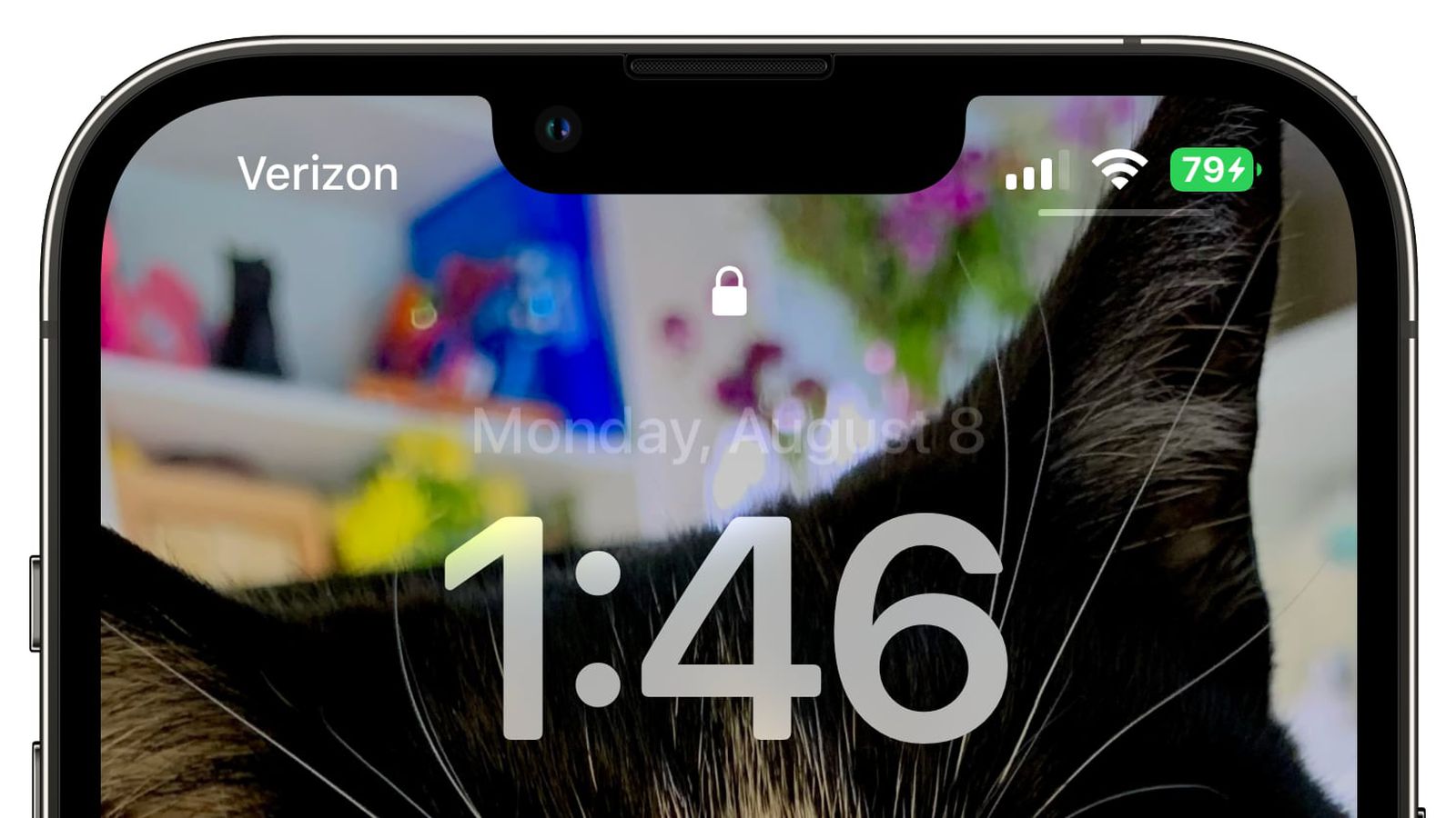 武侯苹果手机维修分享iOS 16 beta 5 支持状态栏显示电池百分比，如何开启？支持哪些机型 
