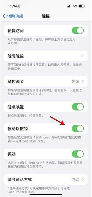 武侯苹果手机维修分享iPhone手机如何设置摇一摇删除文字 