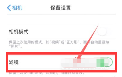 武侯苹果13维修分享iPhone13拍照有绿点是怎么回事 