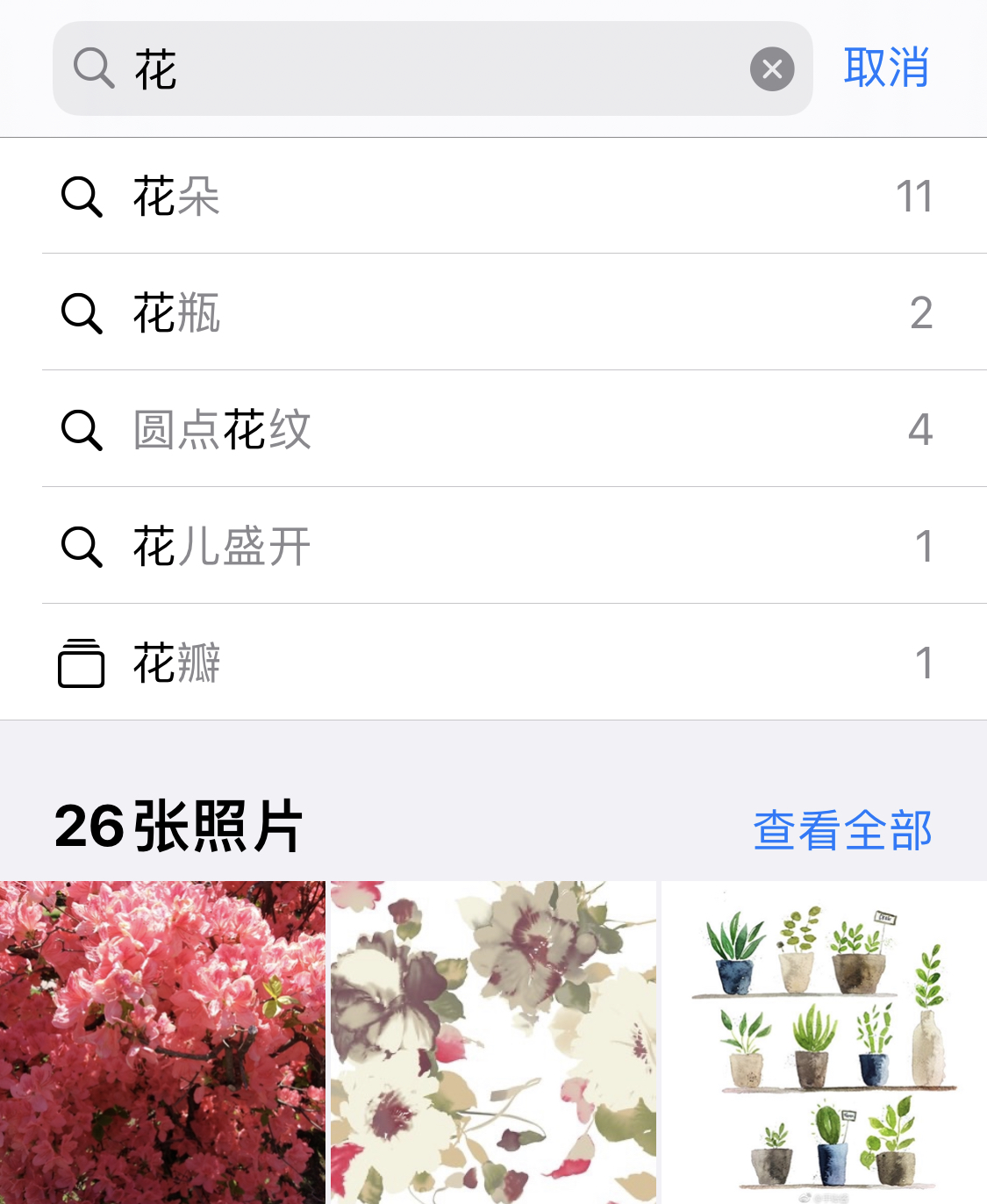 武侯苹果手机维修分享iPhone 小技巧 