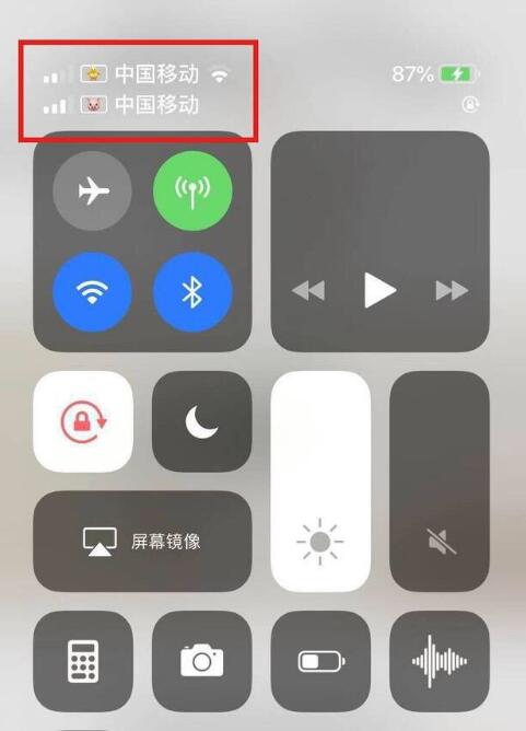 武侯苹果手机维修分享为 iPhone 12 双卡设置标签 