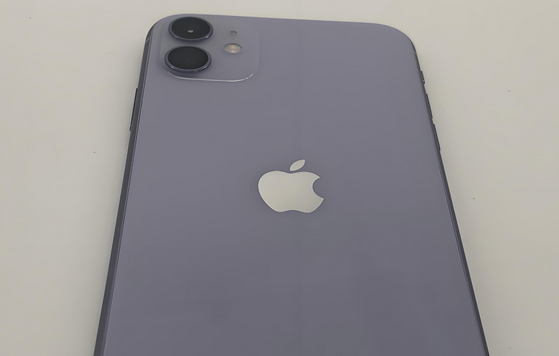 武侯苹果11系统维修分享iPhone11手机系统崩溃无法开机如何解决 